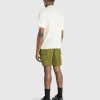 Shorts>The North Face Nse Cargo Pocket Short Forest Olive