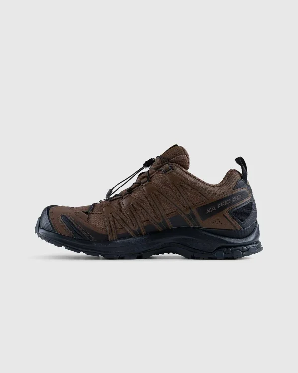 Vandre Sneakers>Salomon Xa Pro 3D Gore-Tex Brun