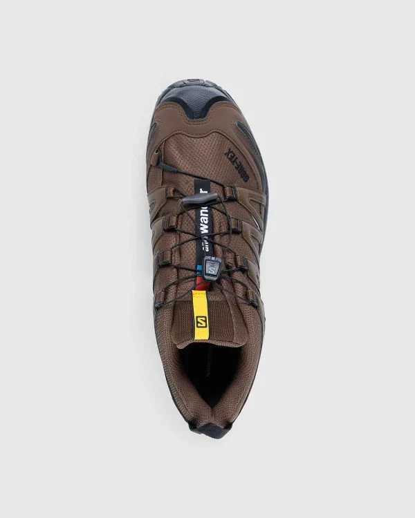 Vandre Sneakers>Salomon Xa Pro 3D Gore-Tex Brun